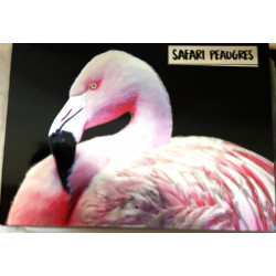 Magnet métal Flamand Rose