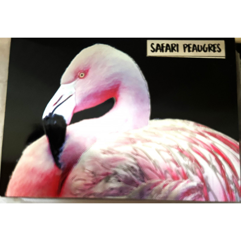 Magnet métal Flamand Rose