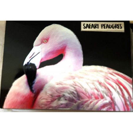 Magnet métal Flamand Rose