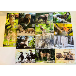 lot de 14 cartes postales