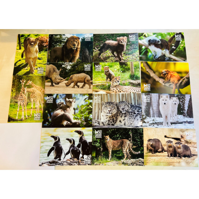 lot de 14 cartes postales