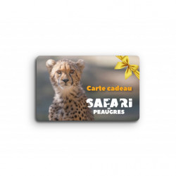 CARTE CADEAU ( Montant 160 €)