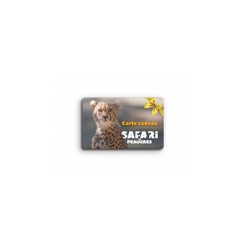 CARTE CADEAU ( Montant 160 €)