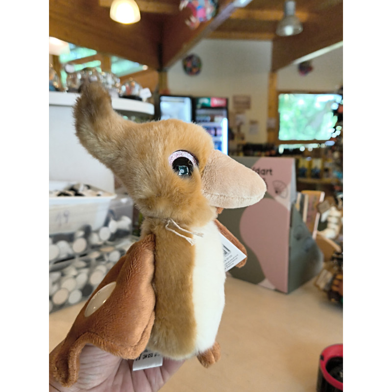 Peluche